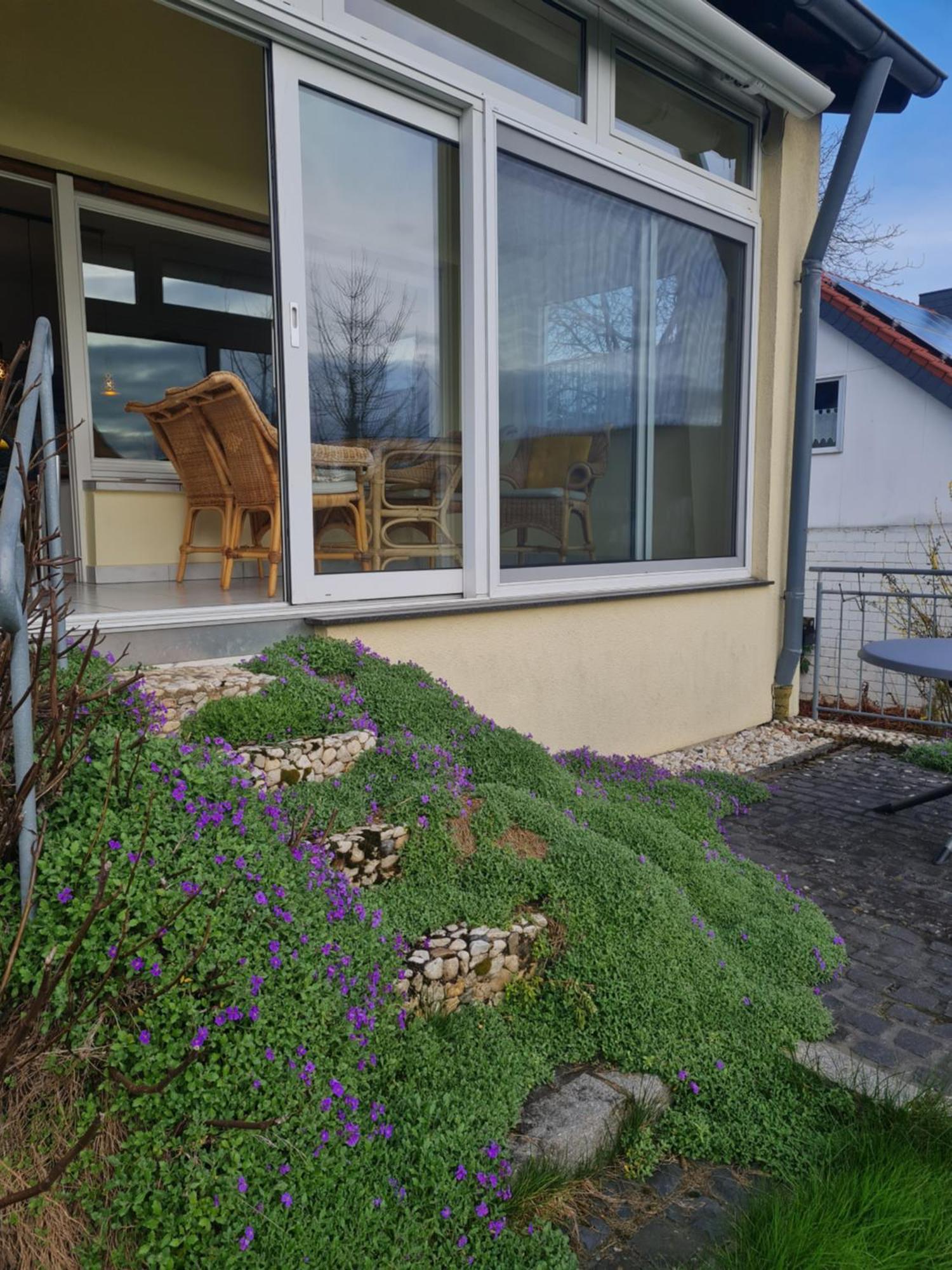 Ferienwohnung Im Rurtal Kreuzau Exterior photo